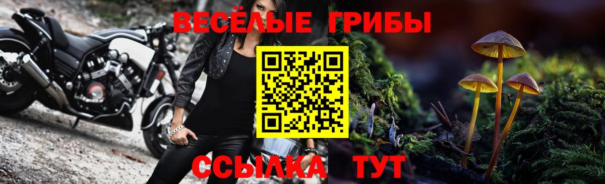Галлюциногенные грибы мухоморы Копейск